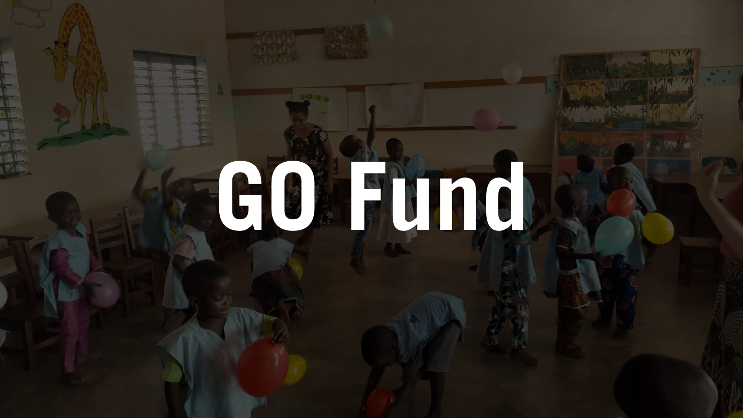 GO Fund! - AFM South America