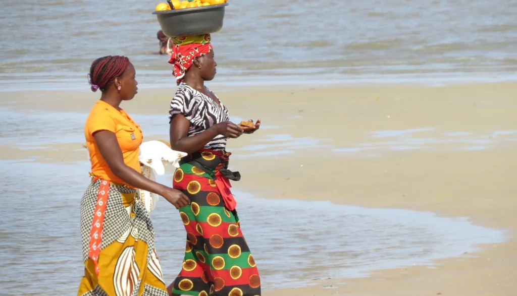 Projeto tonga moçambique